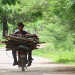 Collecting wood by motorbike